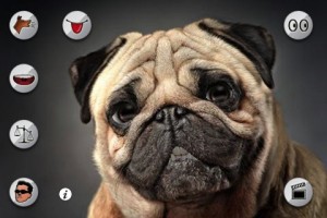 Talking Puppy Screenshot